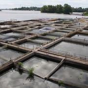 Fish farming фотография