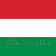 Профессиональный перевод венгерского языка