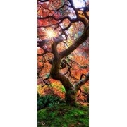 Картина стразами Красивое дерево 30х70 см фотография