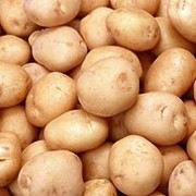 Картофель органический