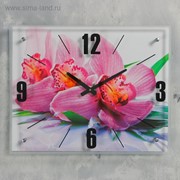 Часы настенные, серия: Цветы, “Орхидея“, 40х50 см, микс фото