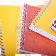 Восстановление бухгалтерского учета и отчетности фото