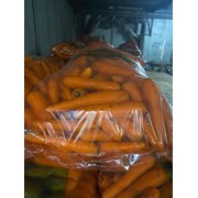 Морковь мытая от производителя фотография
