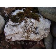 Декоративный природный камень-доломитизированный известняк фотография