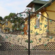 Ворота кованые,Тернополь фото