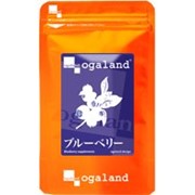 Экстракт черники Blueberry японской компании Ogaland (270 гранул на 90 дней) 101111