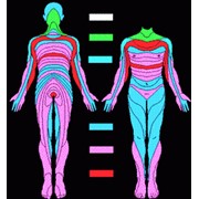Медицинская диагностика фото