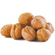 Орехи в Молдове фотография