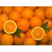 Апельсины Греция фотография