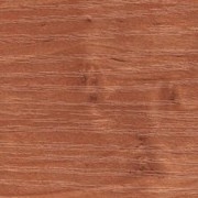 Плита ламинированная древесностружечная ЛДСП Кроностар D 9310 SE ольха фотография