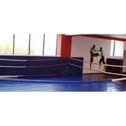 Бойцовский клуб фото