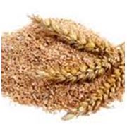 Отруби пшеничные фото