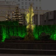 Подсветка отдельных элементов сада фото