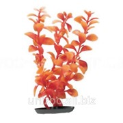 Растение пластиковое Hagen Marina Red Ludwigia (Людвигия оранжевая) 30см