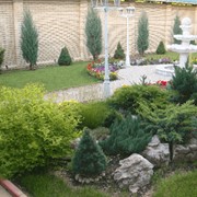 Ландшафтный дизайн сада фото