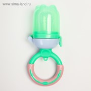 Ниблер для прикорма «Яблоко», с силиконовой сеточкой, цвет зелёный фото