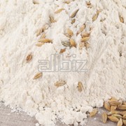 Мука пшеничная хлебопекарная фото