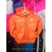 Детская куртка ветровка на 3-8 лет Adidas, код товара 117456061 фото