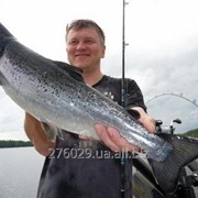 Тур рыбалка на Южном побережье Финляндии фотография