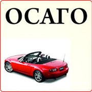Автогражданка фото