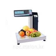 Весовой терминал MK-32.2-R2L10-1 - печатающие весы-регистраторы фотография