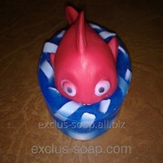 Рыбка Немо в мыле! фото