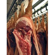 Мясо свинина полутуши охлажденное Киев фото