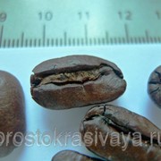 Кофе в зернах “Марагоджип Никарагуа“, 1 кг, бесплатная доставка по России фото