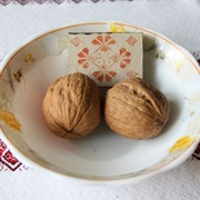 Интенсивные сорта грецкого ореха