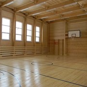 Дома из МХМ панелей фото