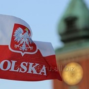 Виза в Польшу без присутствия фото