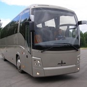 Автобус туристический МАЗ 251