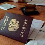 Оформление заграничного паспорта фото
