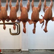 Мясо птицы гуся утки курицы бройлеров охлаждённое продам в украине и зарубеж. фото
