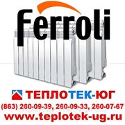 Радиаторы отопления алюминиевые Ferroli/ Ферроли (Италия) фото