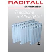 Радиатор биметаллический Raditall фото