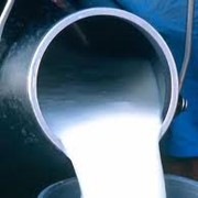 Купить молоко коровье,купить молоко обезжиренное в Казахстане фото