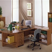 Мебель для офисов «Успех» фотография