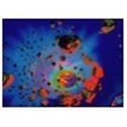 Стандартное флуоресцентное полиэстровое полотно-обои «Астероиды» фото