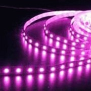 Ультрафиолетовая светодиодная лента фото