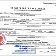 Международная регистрация товарных знаков фото