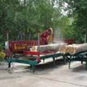 Лесосечные работы фото