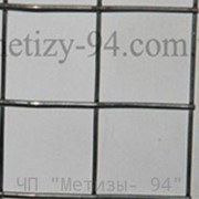 Сетка сварная оцинкованная 25,4*25,4*0,8 мм (цинка до 30 г/м2)