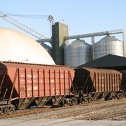Отгрузка ж/д транспортом зерна, в Казахстане фото