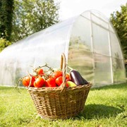 Теплицы Агро, Титан, Сибирская, Престиж, Импласт . Труба оцинкованная 20х20 и 40х20. шаг 1 м и усиленный каркас с шагом 67. Доставка -1630-165-17 фото