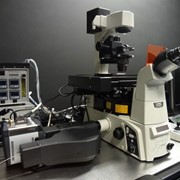 Микроскопы Nikon фотография