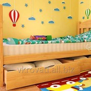 Кровать детская Флави Мини 90*190 (Натуральное дерево) фото