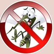 Противомоскитные сетки — идеальная защита от насекомых фото