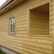 блок хаус 20*96, хвоя фото