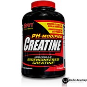 SAN Ph-Modifed CREATINE